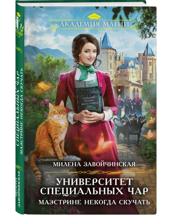 Университет Специальных Чар. Маэстрине некогда скучать