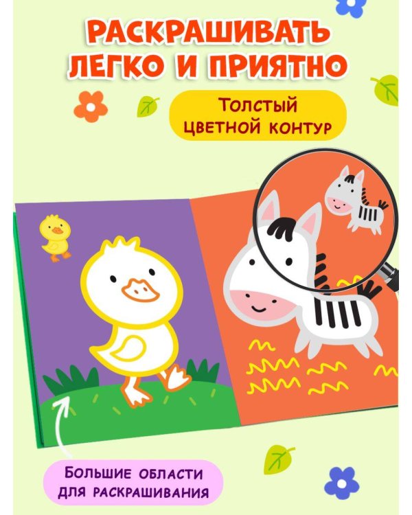 Раскраска с цветным контуром (Зебра)