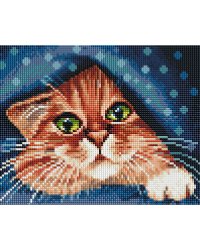 2505-ST-S В уюте