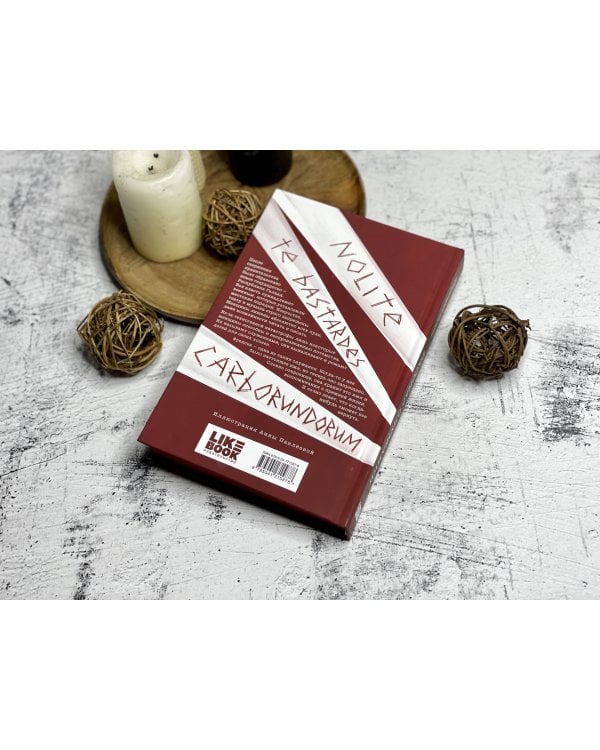 Рассказ Служанки