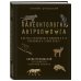 Книги Станислава Дробышевского Палеонтология антрополога. Иллюстрированный путеводитель в зверинец прошлого
