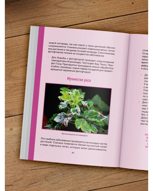 Шпаргалка для садовода. Практические советы по работам в малоуходном саду от Татьяны Селезневой