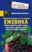 Ежевика. Мощный лекарь от ста недугов. Лечение онкологии, диабета, артрита, атеросклероза, варикоза,
