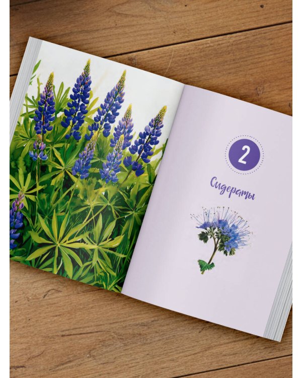 Шпаргалка для садовода. Практические советы по работам в малоуходном саду от Татьяны Селезневой