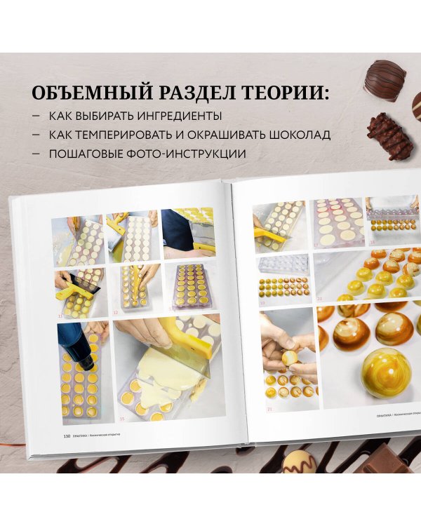 Шоколад. Практическое пособие. Подробная теория, технология и пошаговые уроки для впечатляющего шоколадного декора.