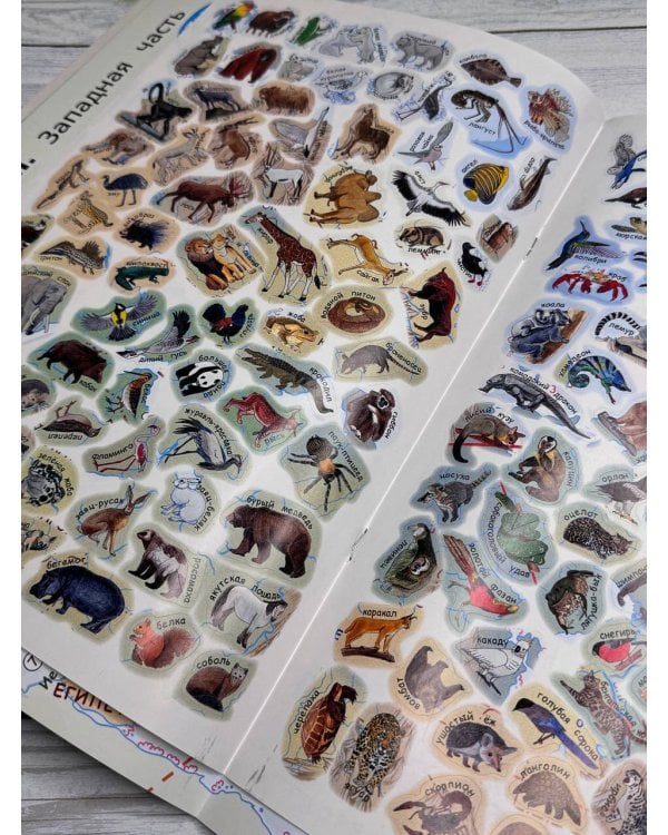 Мой первый атлас мира с наклейками