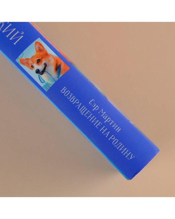 Сэр Мартин. Возвращение на родину