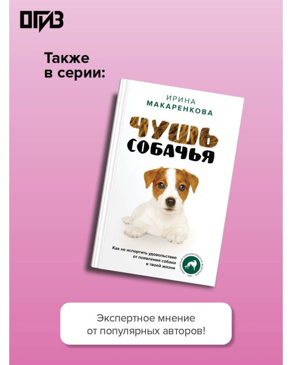 Переводим дорамы без драмы. Магия корейских сериалов глазами переводчика