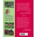 Цветники: 85 лучших композиций (издание дополненное и переработанное)