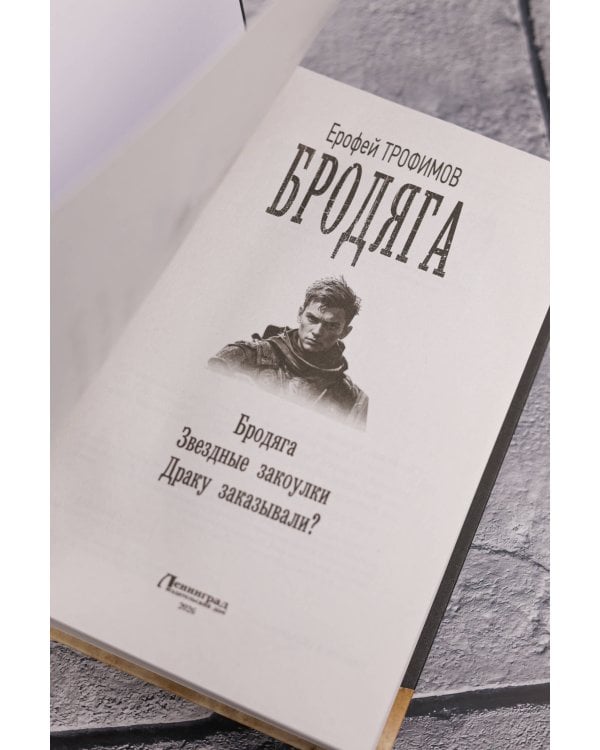 Бродяга (сборник)