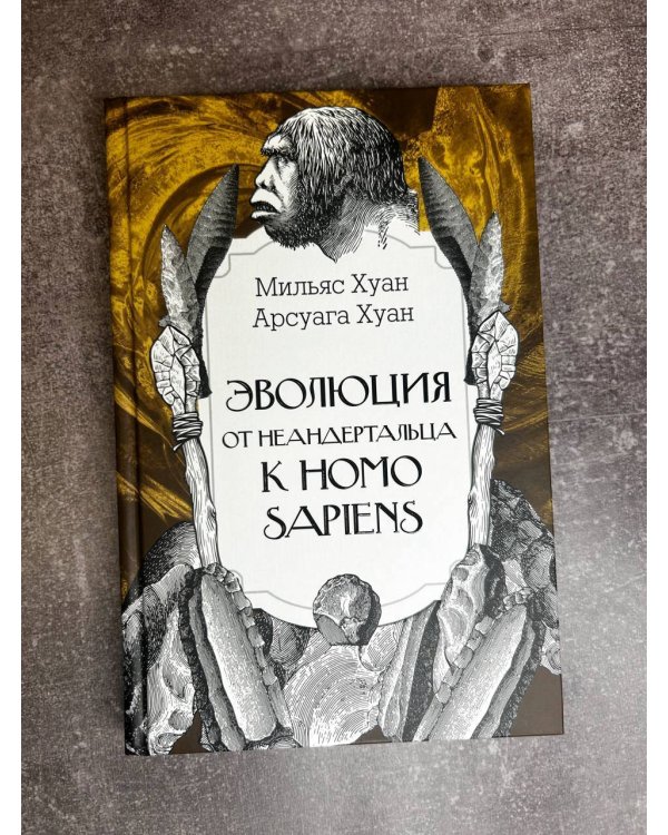 Эволюция: от неандертальца к Homo sapiens