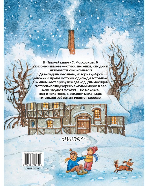 Зимняя книга