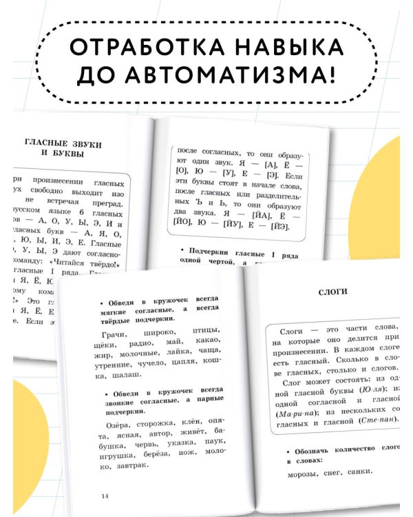 Все основные правила русского языка за 15 минут в день