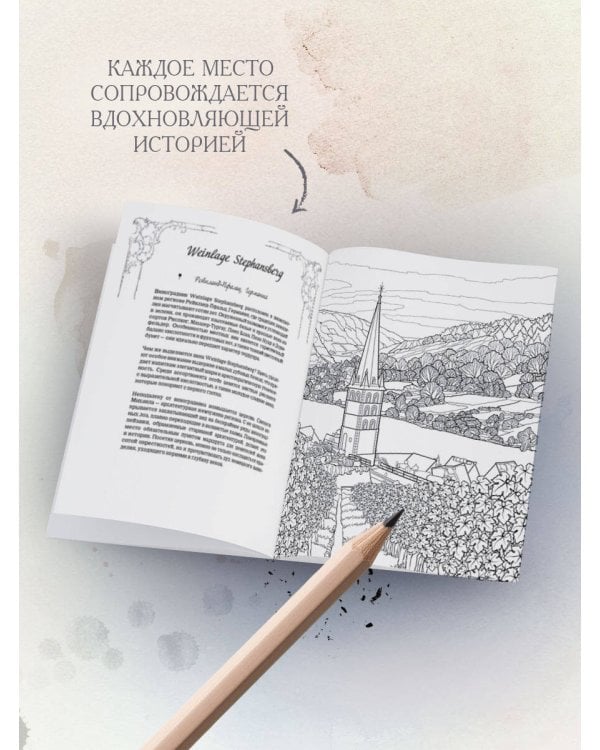 Солнечные виноградники. Раскраски для интровертов