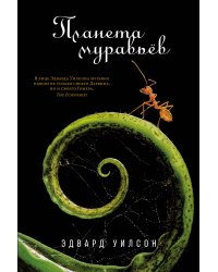 Планета муравьёв
