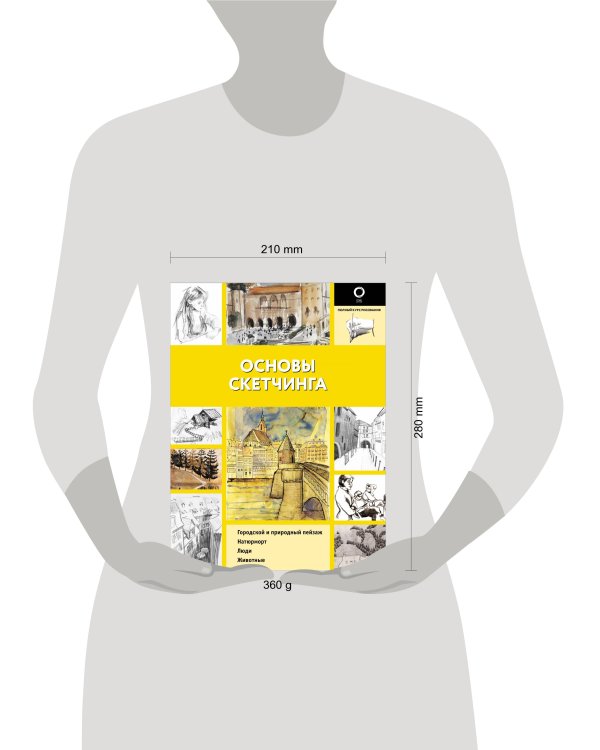 Основы скетчинга