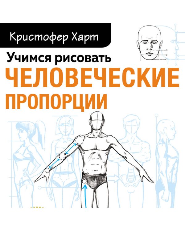 Учимся рисовать человеческие пропорции