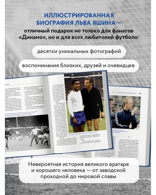 Лев Яшин. Взгляд из XXI века. Иллюстрированная биография