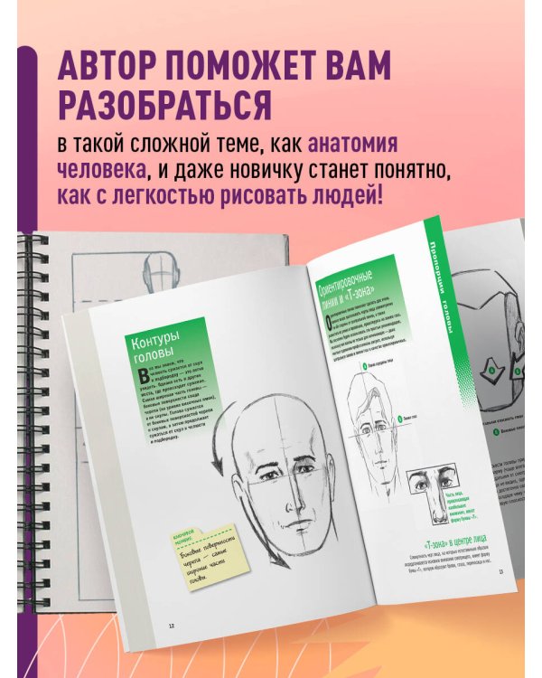 Учимся рисовать человеческие пропорции