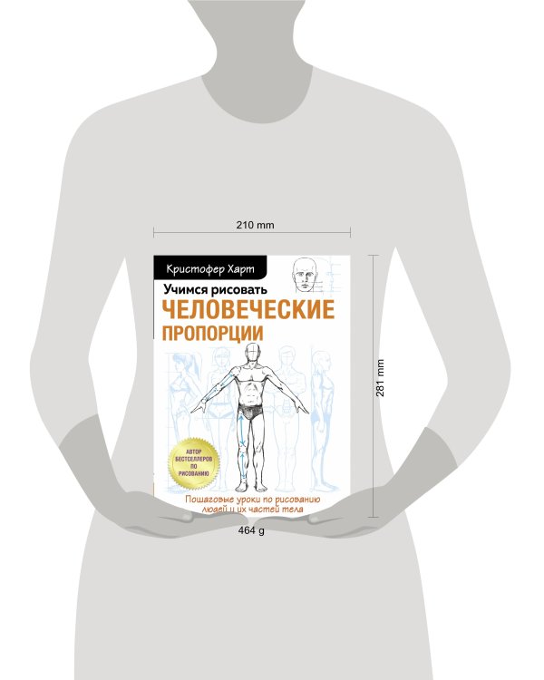 Учимся рисовать человеческие пропорции