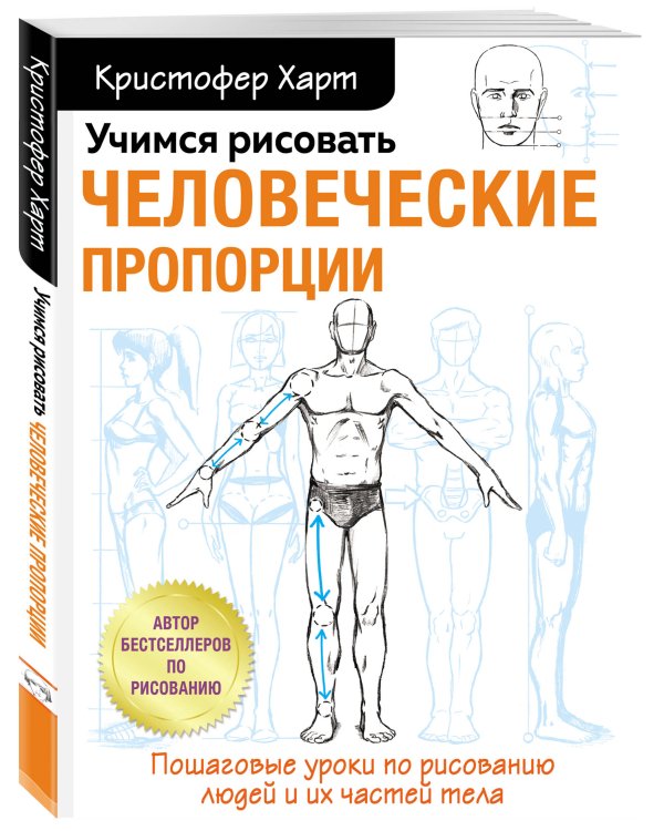 Учимся рисовать человеческие пропорции