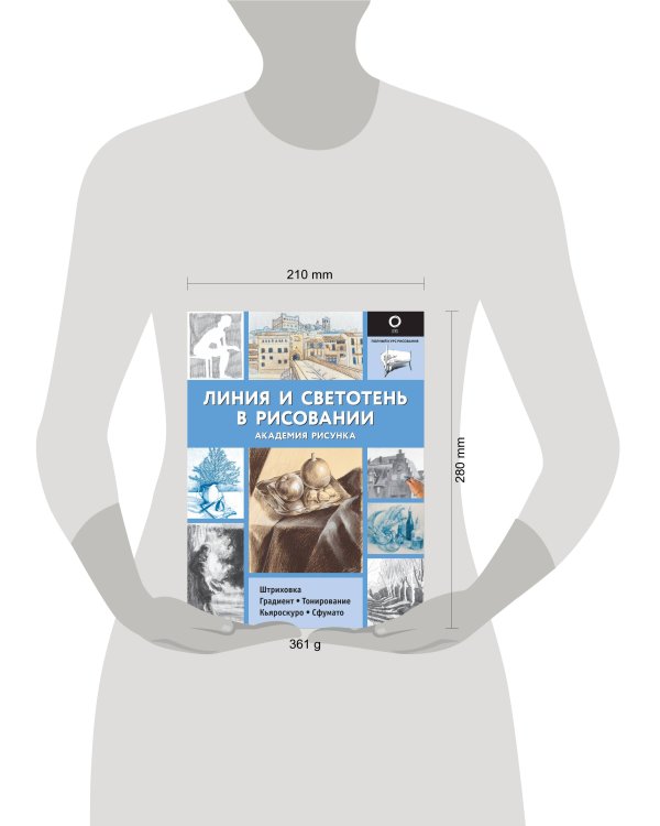 Линия и светотень в рисовании