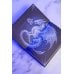 Дополнительное изображение книги «Шрам на кости»
