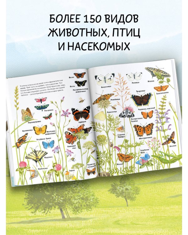 Животные рядом с нами
