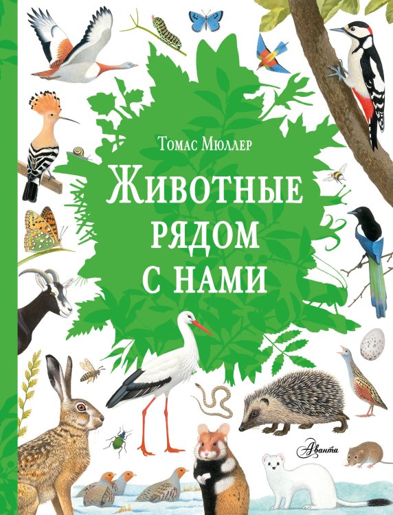 Животные рядом с нами