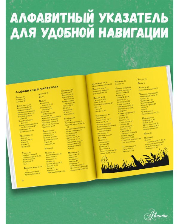 Животные рядом с нами