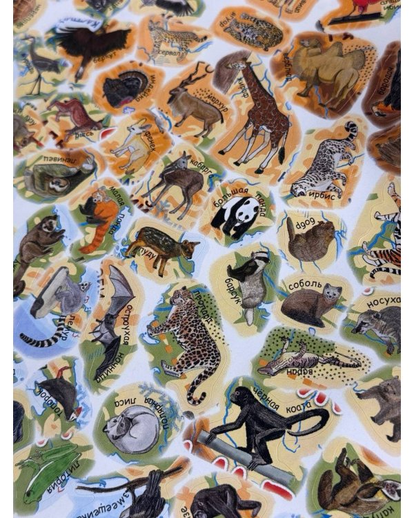 Карта мира для детей с наклейками