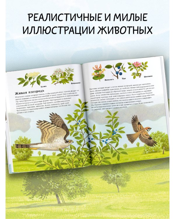 Животные рядом с нами
