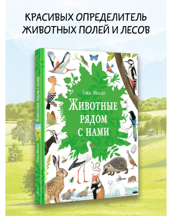 Животные рядом с нами