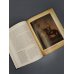 Дополнительное изображение книги «Русская история XVIII века в искусстве»