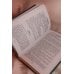 Дочь медведя, или Предсказанная перевёртышу