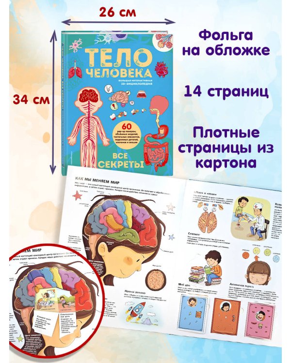 Тело человека. Все секреты. Большая интерактивная 3D-энциклопедия