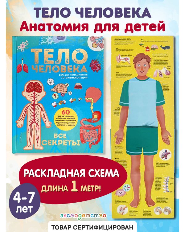 Тело человека. Все секреты. Большая интерактивная 3D-энциклопедия