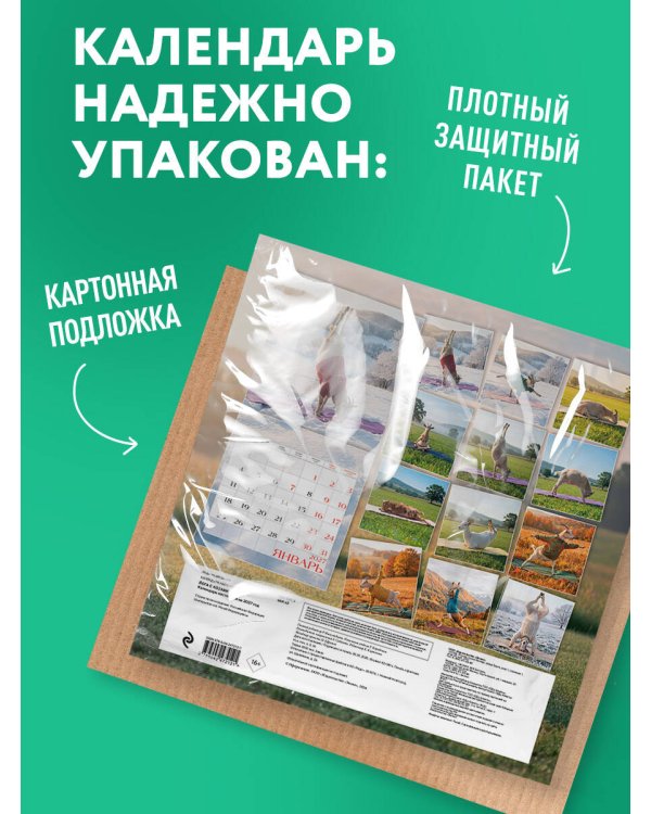 Дополнительное изображение книги «Йога с козами. Календарь настенный на 2027 год (300х300 мм)»