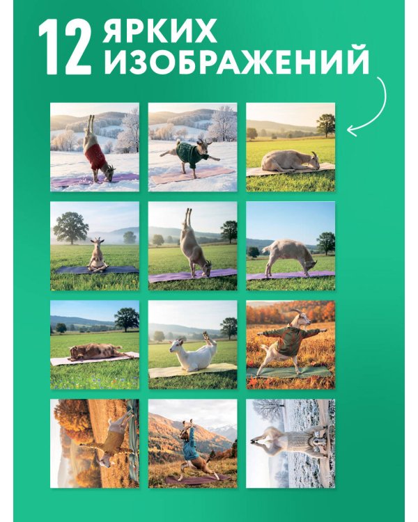 Дополнительное изображение книги «Йога с козами. Календарь настенный на 2027 год (300х300 мм)»