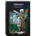 Айвенго
