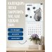 Дополнительное изображение книги «Коты, что греют сердце: календарь теплых дней и добрых мыслей. Календарь настенный на 2027 год (170х170 мм)»