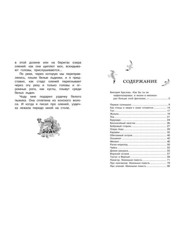 Дополнительное изображение книги «Беспокойный хвостик»