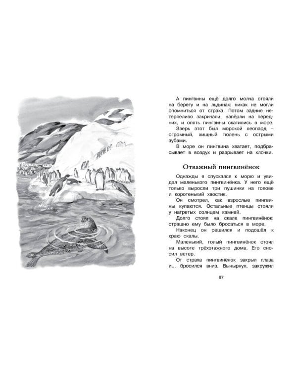 Дополнительное изображение книги «Беспокойный хвостик»