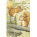 The World of Peter Rabbit: A Box of Post (Potter Beatrix) Мир Кролика Питера: 100 открыток/ Книги на английском языке