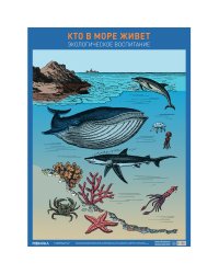 Плакат. Кто в море живет
