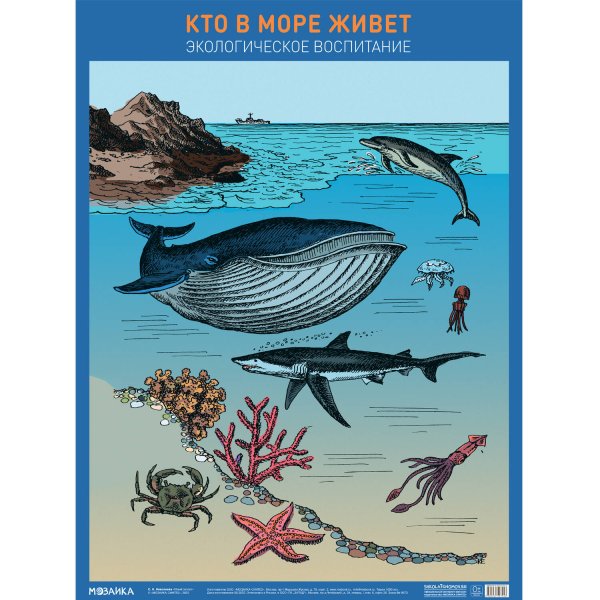 Обложка книги «Плакат. Кто в море живет», ISBN 9785431527043