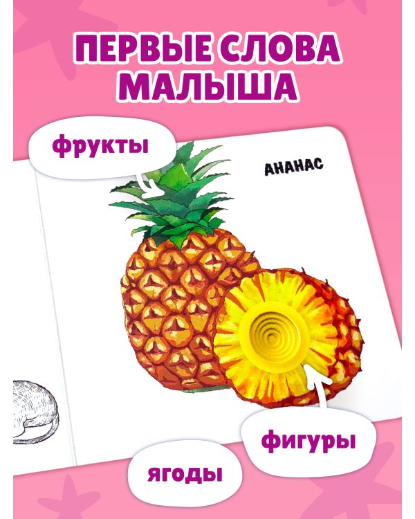 Дополнительное изображение книги «Загляни в окошко! Фрукты и ягоды»