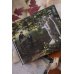 Учитель. Вечные истории. Young Adult