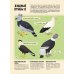 Энциклопедия для юных читателей в картинках Птицы