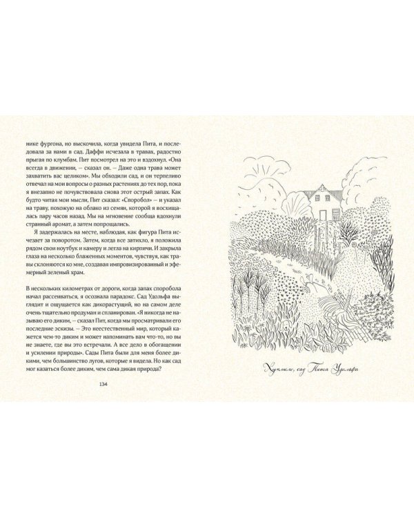 Маленькая книга счастья. Где прячется радость и как ее найти